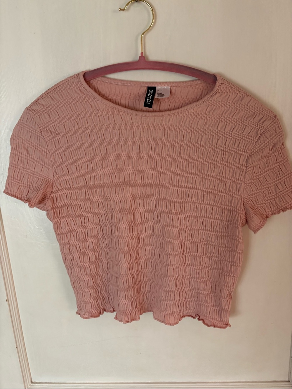 H&M Blush Pink Short Sleeve Smocked Crop Top